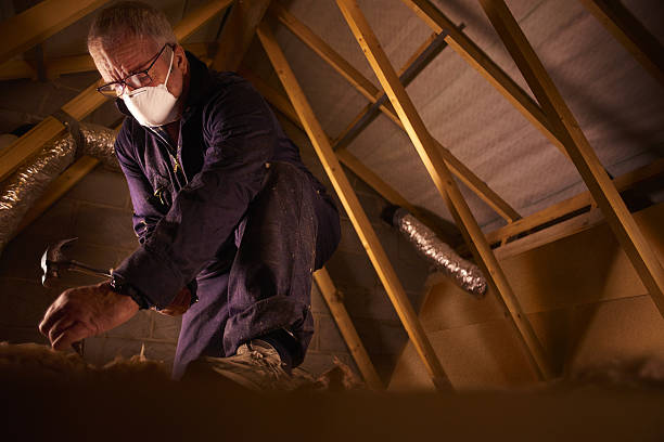 Best Specialty Insulation in Tamiami, FL