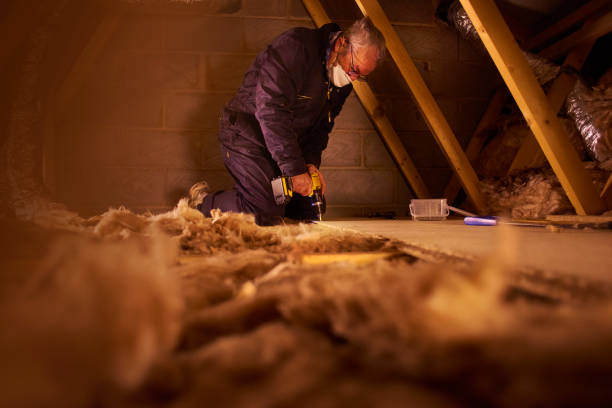 Best Insulation Installation Services in Tamiami, FL